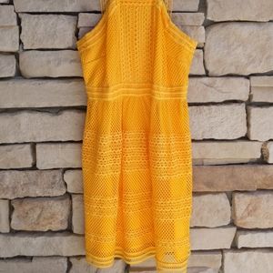 Tahari Yellow Dress - Size 8 - NWT